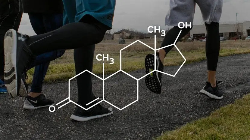 AR SUNKIOS TRENIRUOTĖS MAŽINA TAVO TESTOSTERONO LYGĮ?