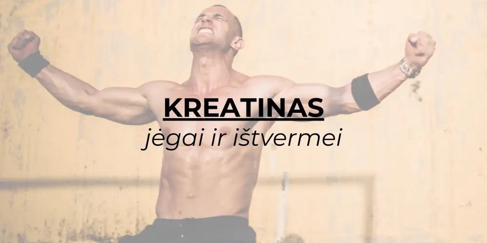 Kreatinas: viskas ką reikia žinoti apie šį maisto papildą